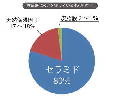 角質層の水分グラフ